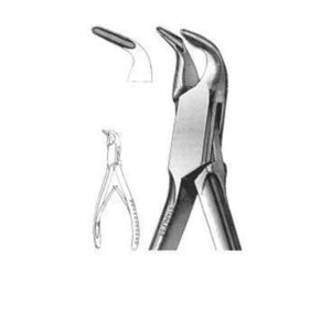 Extracting Forceps