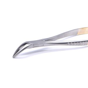Extracting Forceps